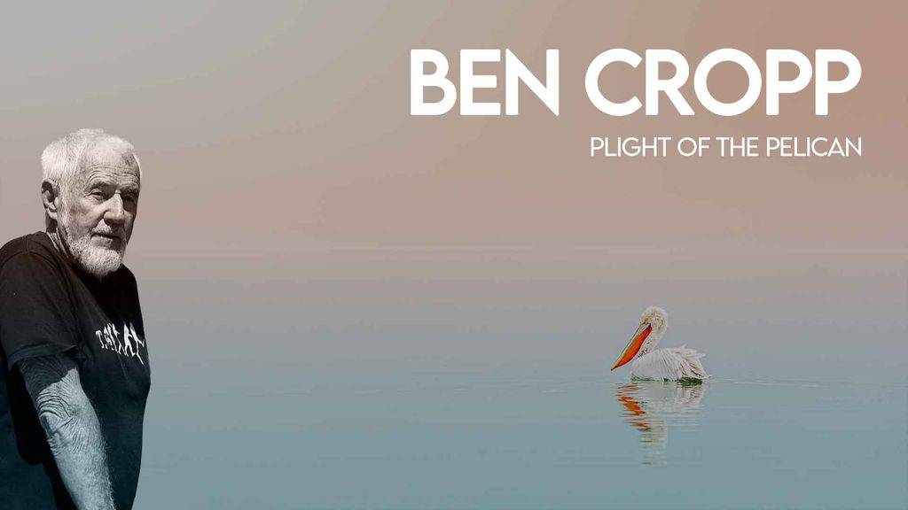 Ben Cropp - Plight of the pelican