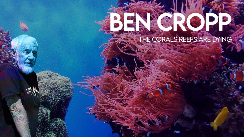 Ben Cropp - The corals Reefs are dying