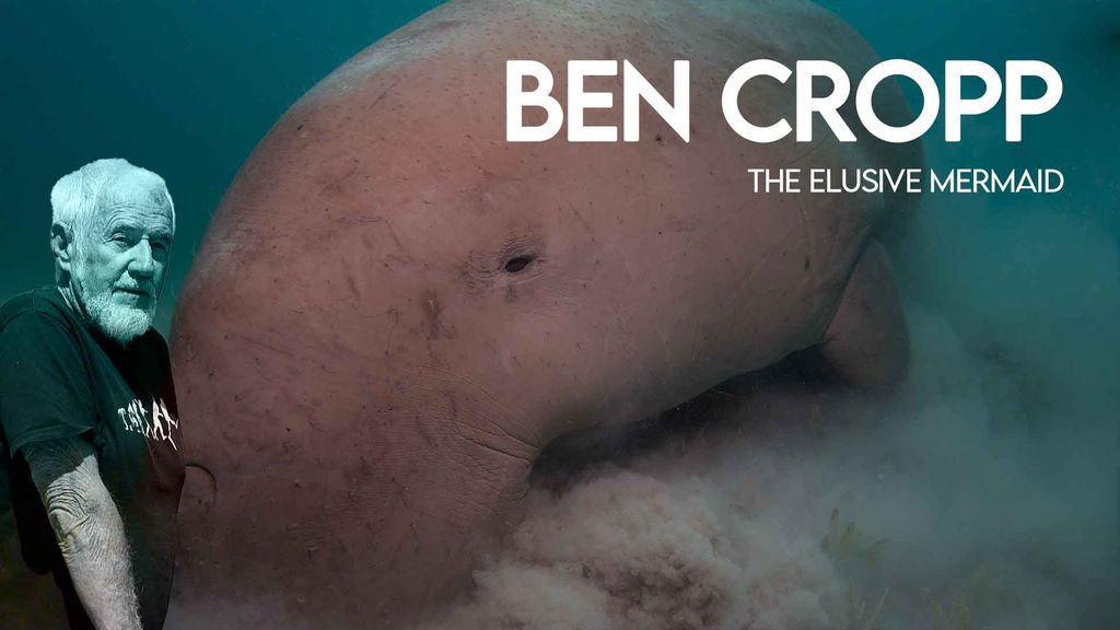Ben Cropp - The elusive mermaid