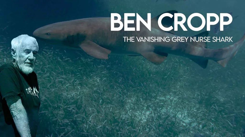 Ben Cropp - The vanishing grey nurse shark
