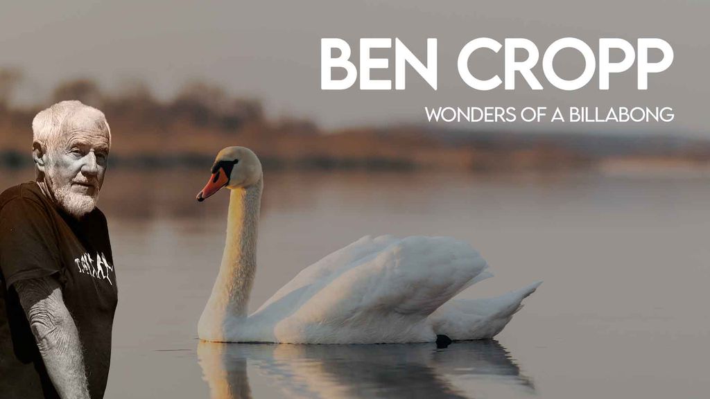Ben Cropp - Wonders of a billabong
