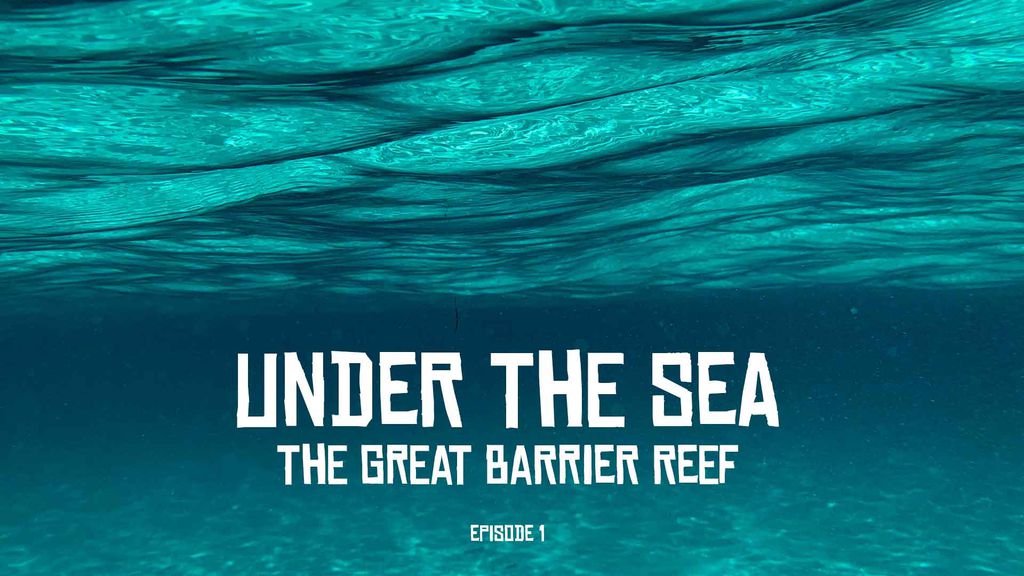 Under The Sea THE GREAT BARRIER REEF Episode 1