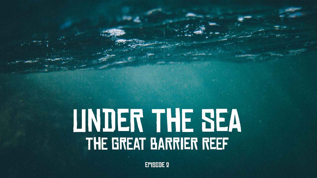 Under The Sea THE GREAT BARRIER REEF Episode 2