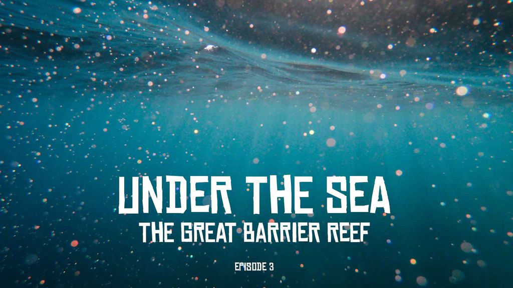 Under The Sea THE GREAT BARRIER REEF Episode 3