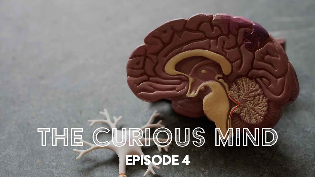 The Curious Mind Episode 4