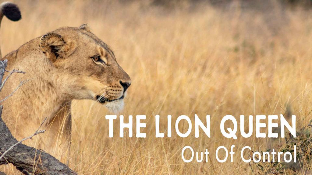 The Lion Queen Episode 5 - Out Of Control