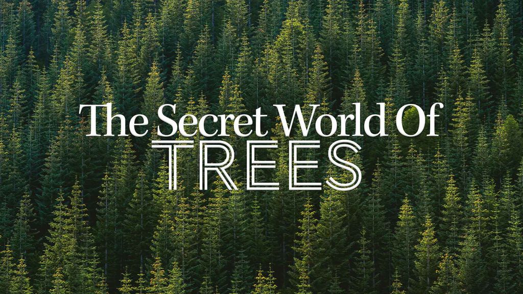 The Secret World Of Trees Episode 1