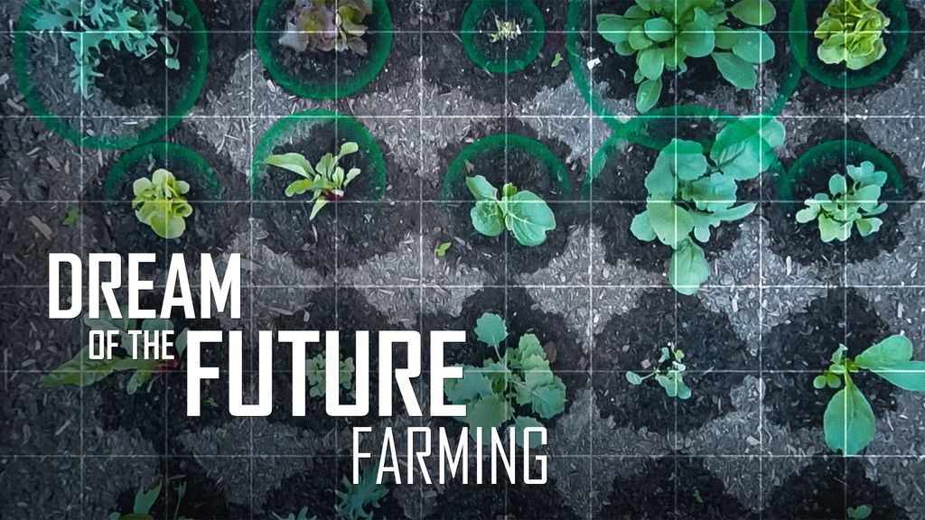 Dream of the future S2 Ep10 - FARMING