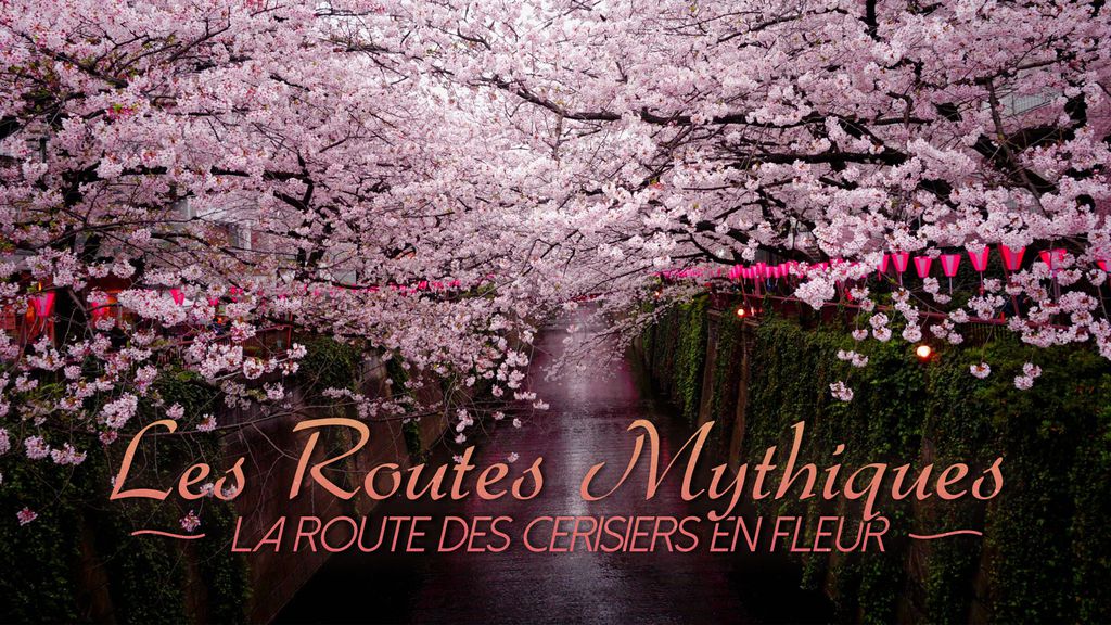 Les Routes Mythiques - La route des cerisiers en fleurs