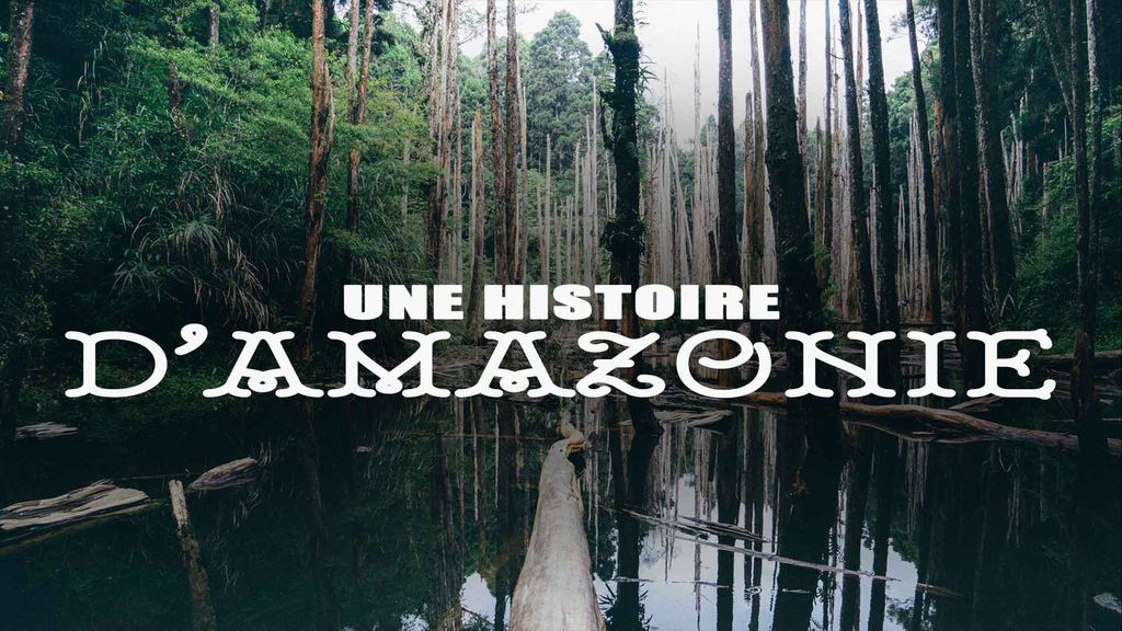 Une Histoire Amazonienne