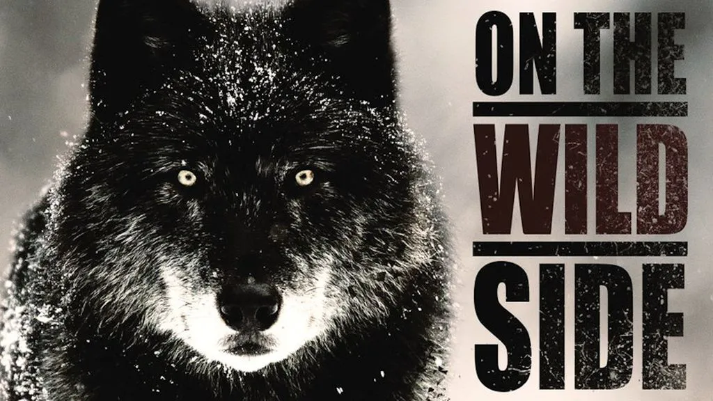 On the Wild Side