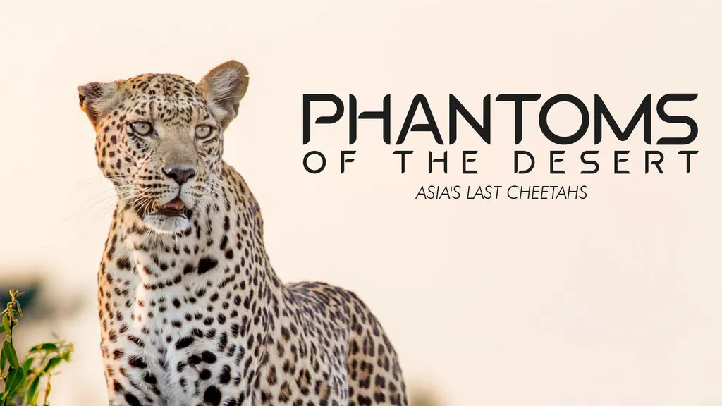 Phantoms of The Desert - Asia's Last Cheetahs