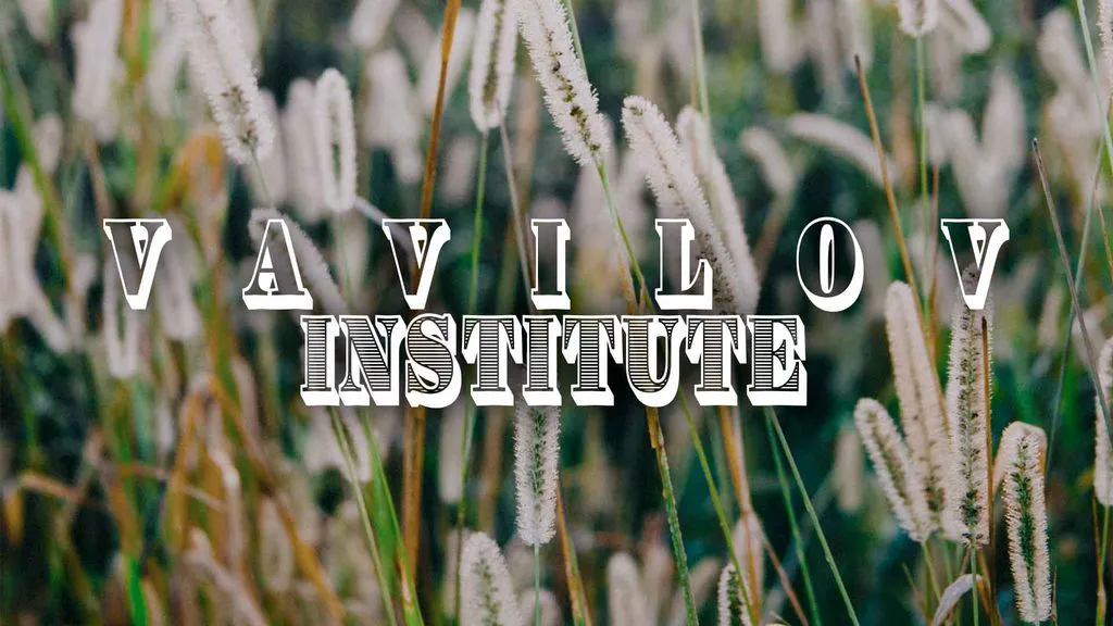 Vavilov Institute