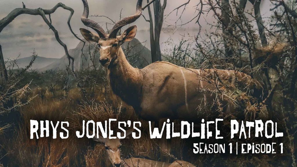 Rhys Jones's Wildlife Patrol | Season 1 | Episode 1