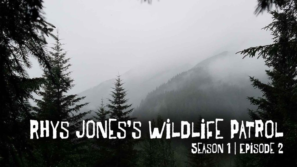 Rhys Jones's Wildlife Patrol | Season 1 | Episode 2