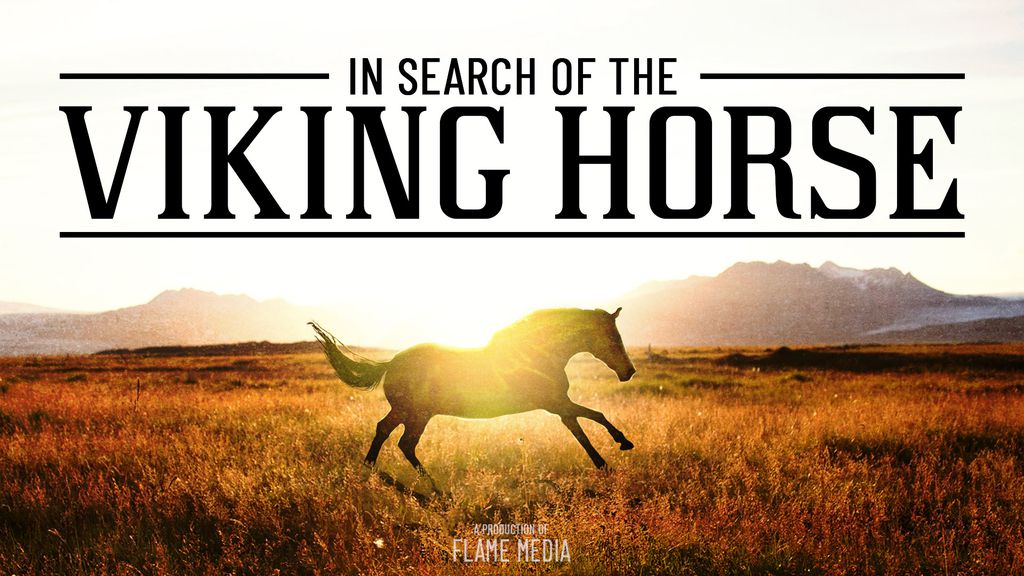 In Search Of The Viking Horse
