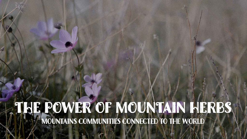 The Power of Mountain Herbs | Season 1 | Episode 2 – Mountains communities connected to the world