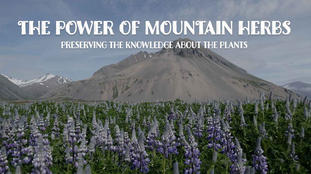 The Power of Mountain Herbs | Season 1 | Episode 3 - Preserving the knowledge about the plants
