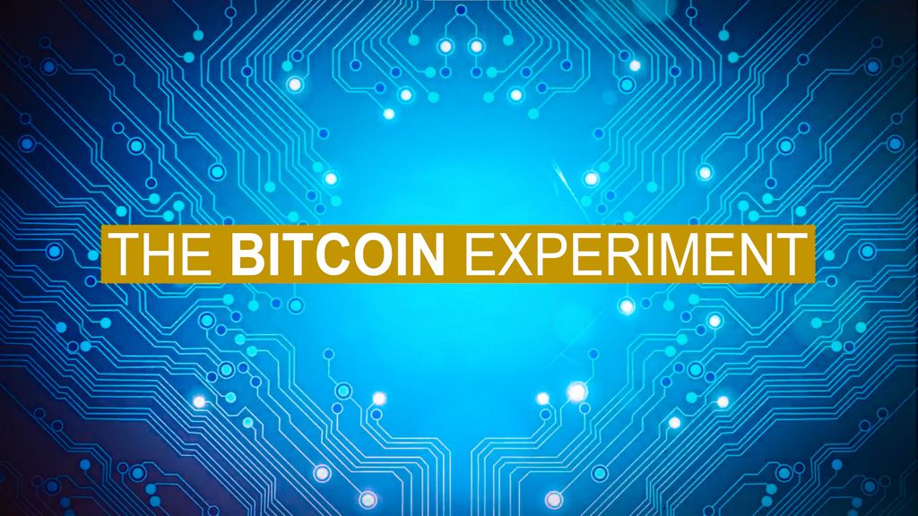 The Bitcoin Experiment