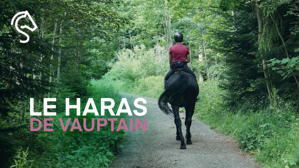 Le Haras de Vauptain
