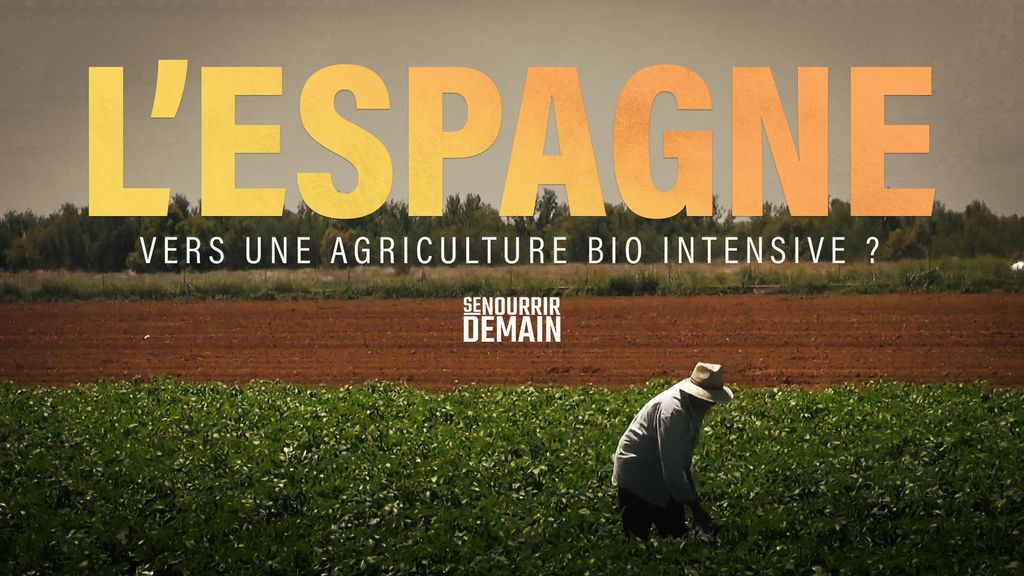 Se nourrir demain : L'Espagne vers une agriculture bio intensive ?