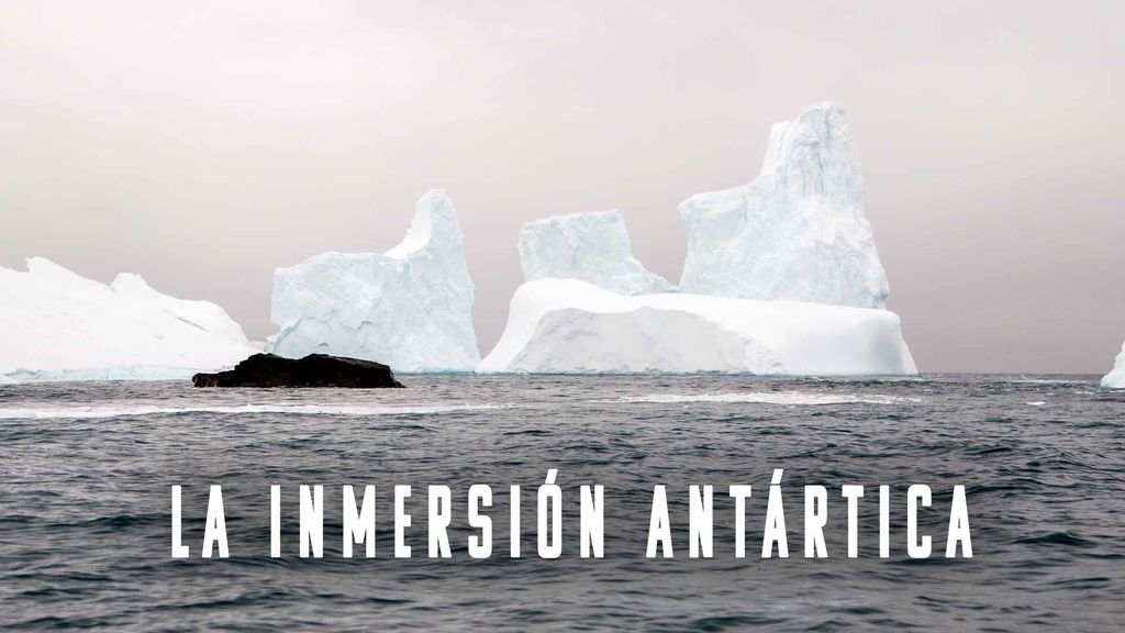 La inmersión antártica