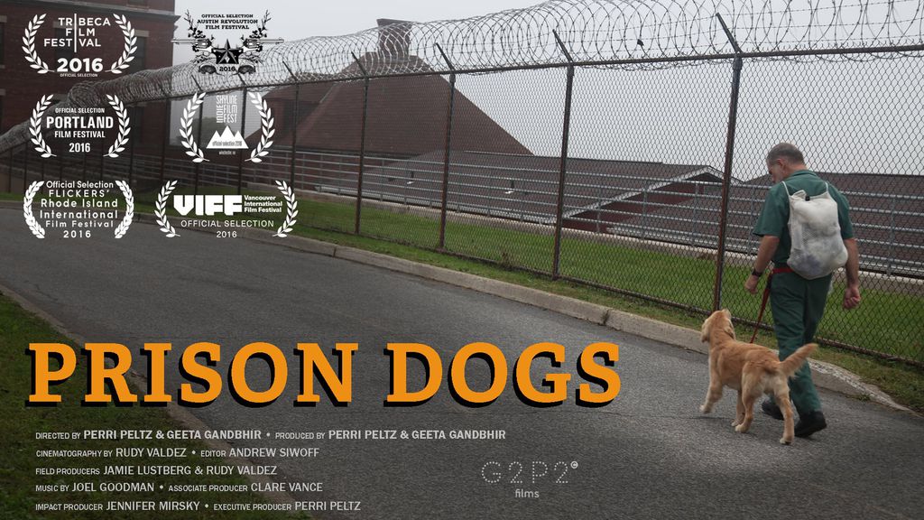 Prison dogs