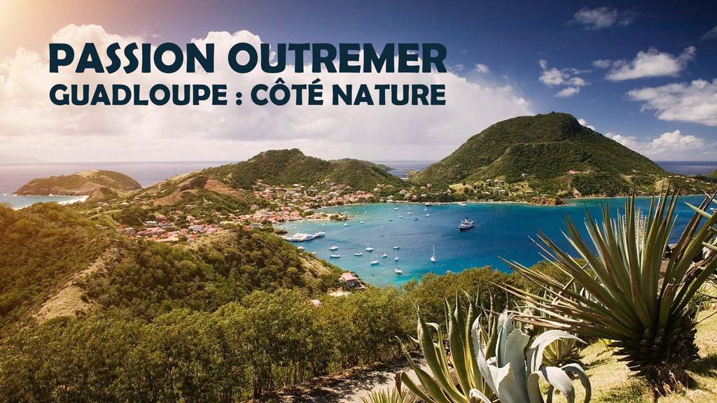 Passion Outremer | Guadeloupe : Côté nature