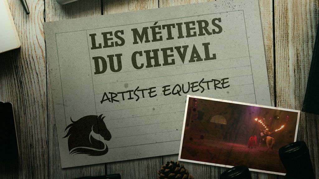 Les Métiers du Cheval - Artiste Equestre