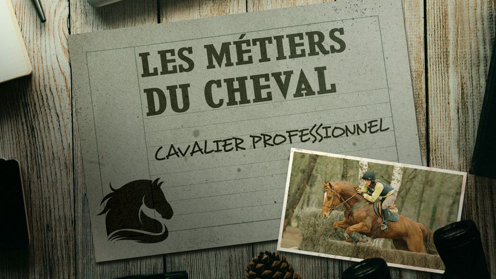 Les Métiers du Cheval - Cavalier professionnel