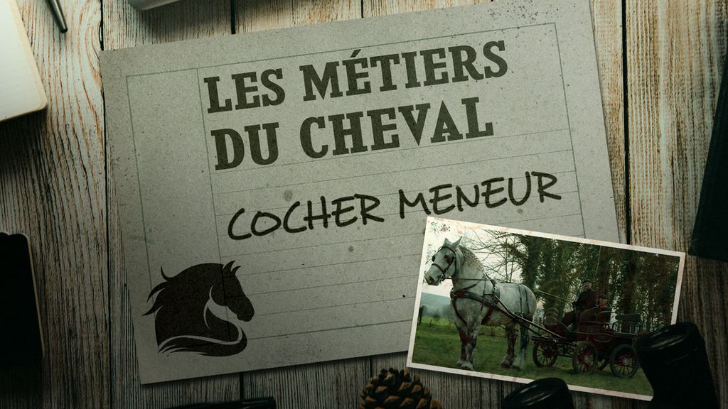 Les Métiers du Cheval - Cocher Meneur