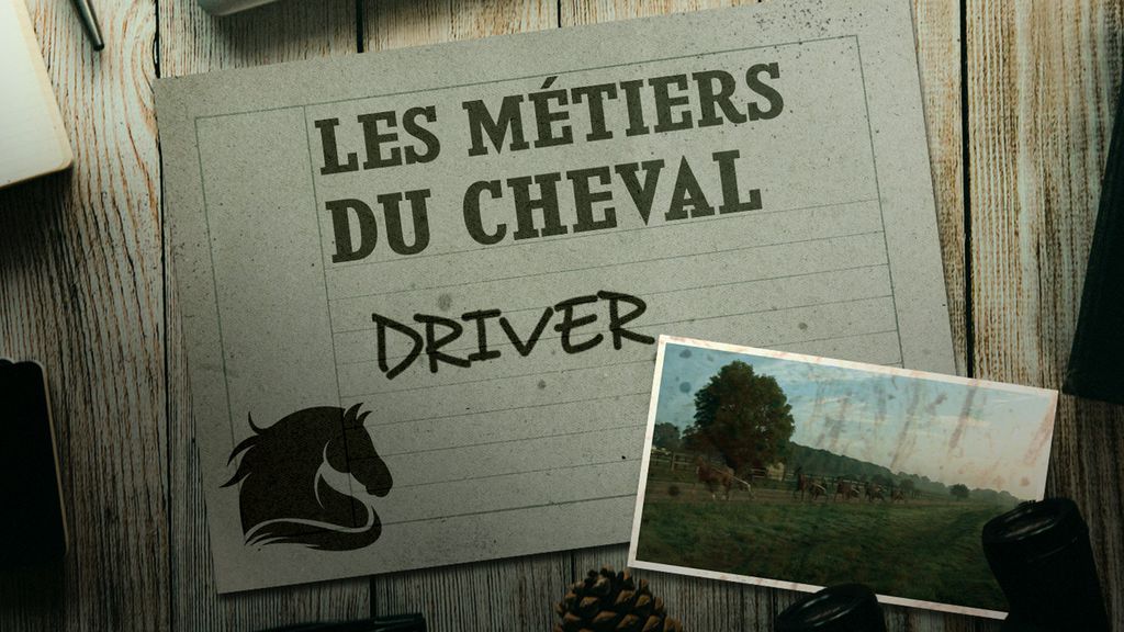 Les Métiers du Cheval - Driver