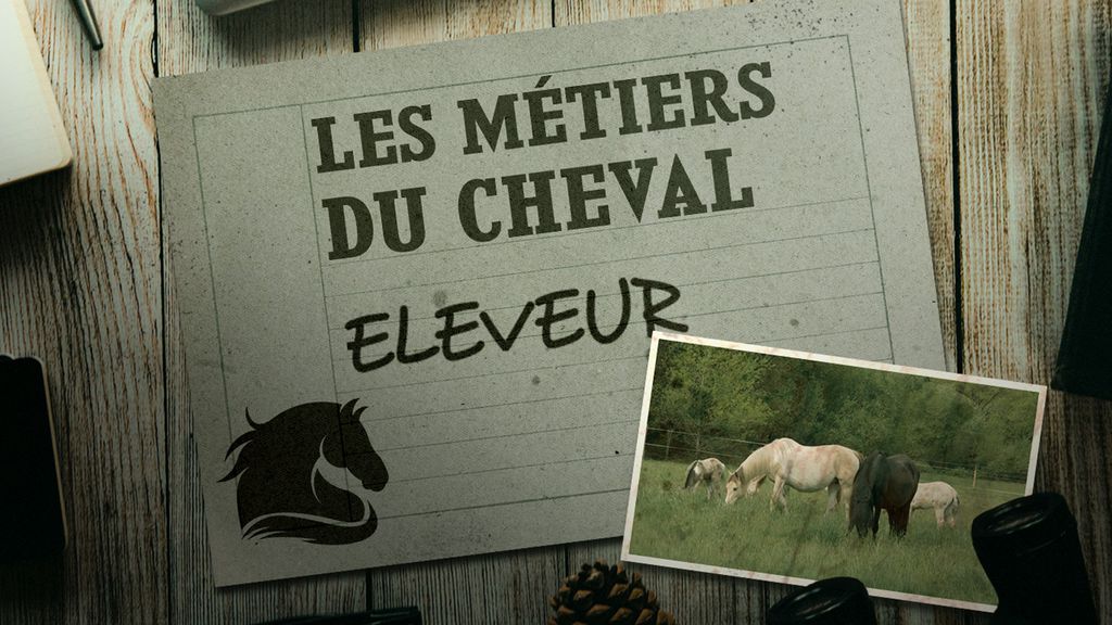 Les Métiers du Cheval - Eleveur