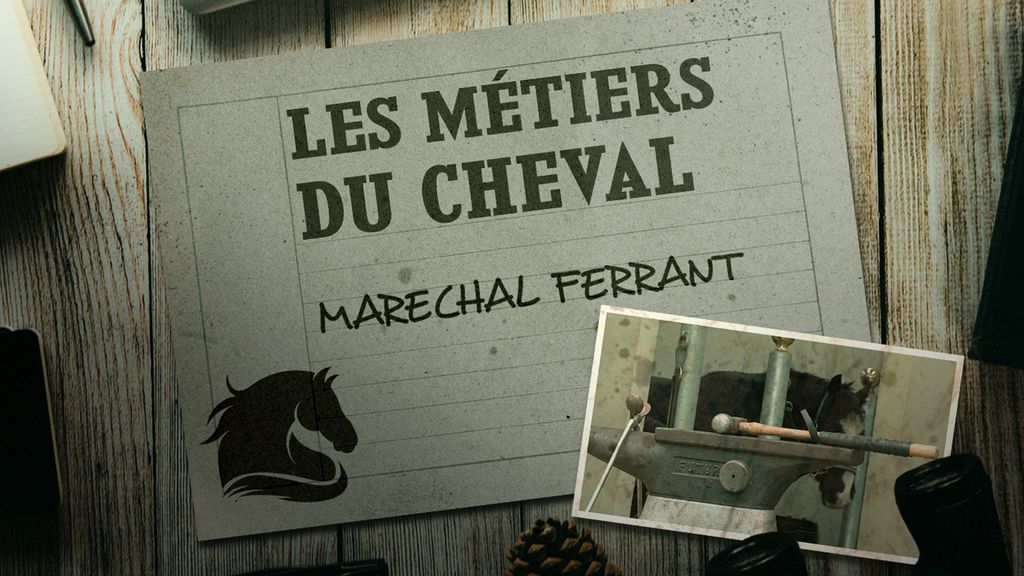 Les Métiers du Cheval - Marechal Ferrant