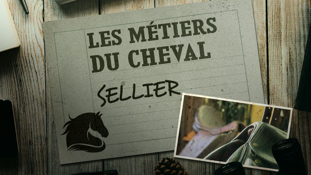 Les Métiers du Cheval - Sellier
