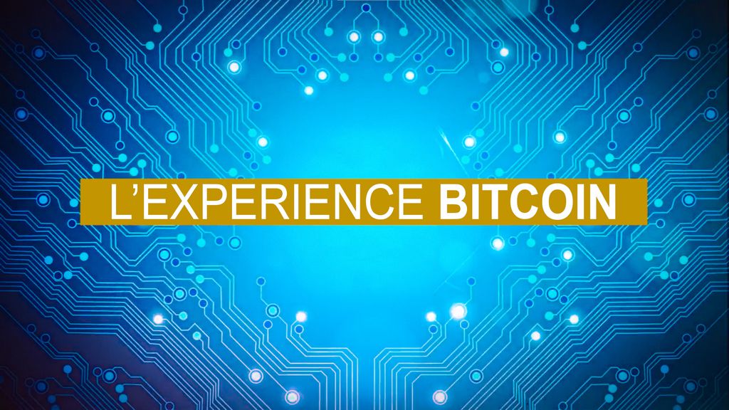 L'expérience Bitcoin