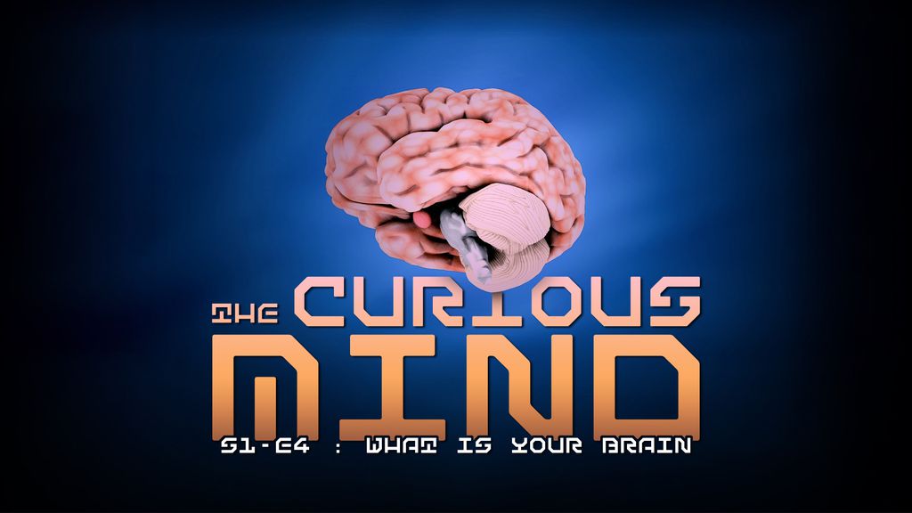 The Curious Mind - Saison 1 - Episode 4 - What is your Brain?