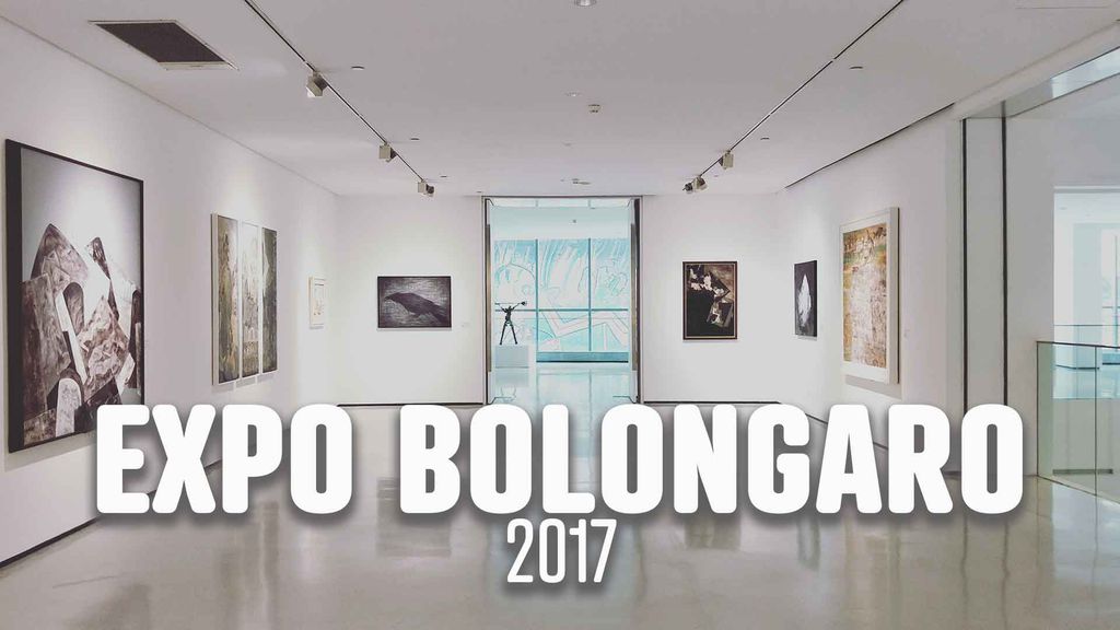 Exposition de Stéphane Bolongaro