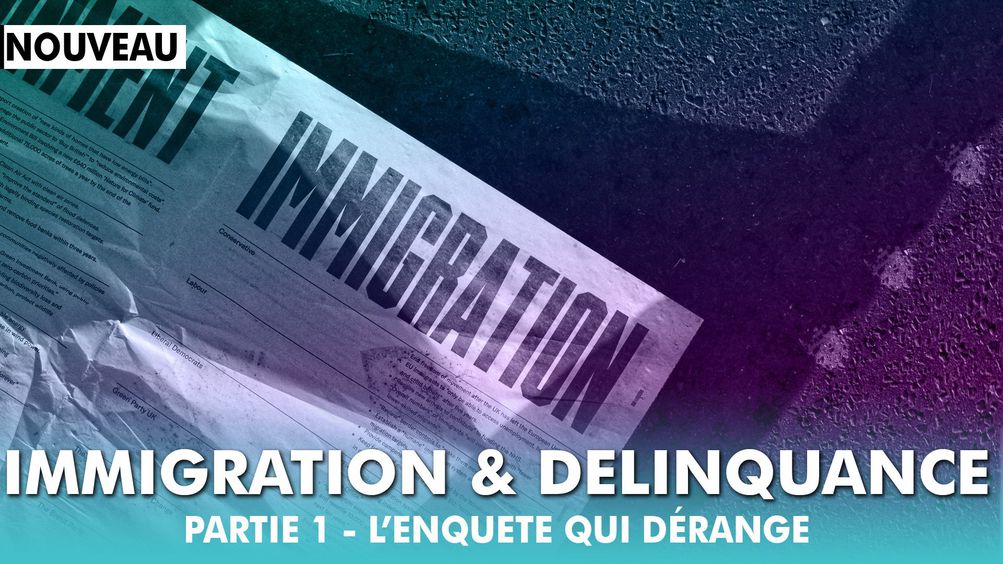 Immigration et délinquance | Partie 1 | L'enquête qui dérange