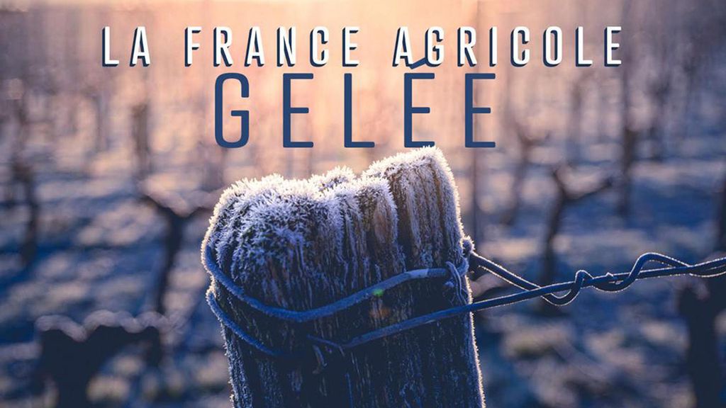La France agricole gelée 