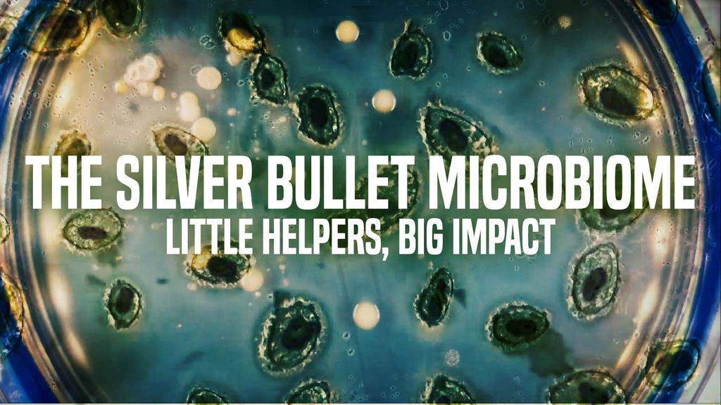 The Silver Bullet Microbiome - Little Helpers, Big Impact