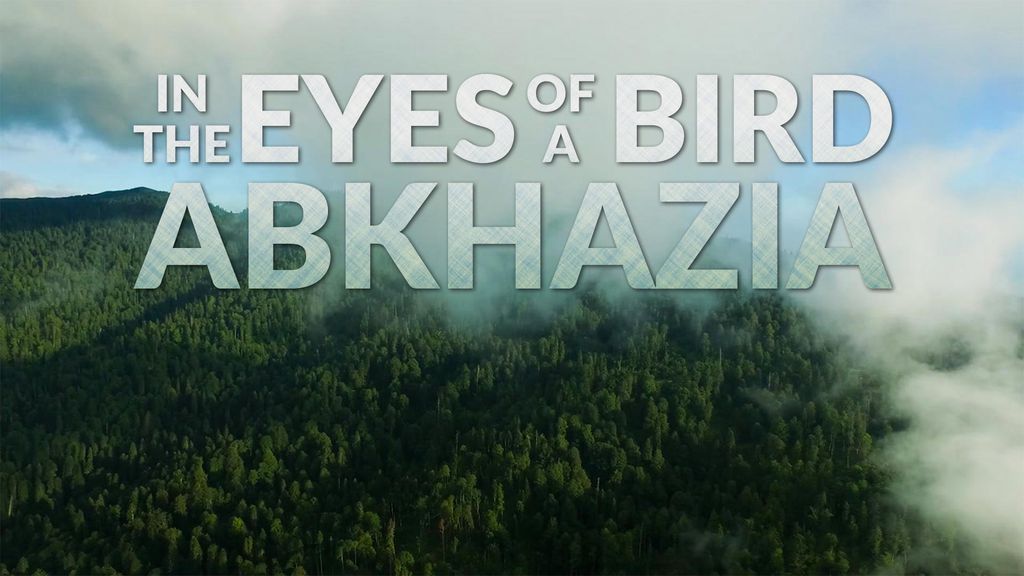 Dans les yeux d'un oiseau - Abkhazia