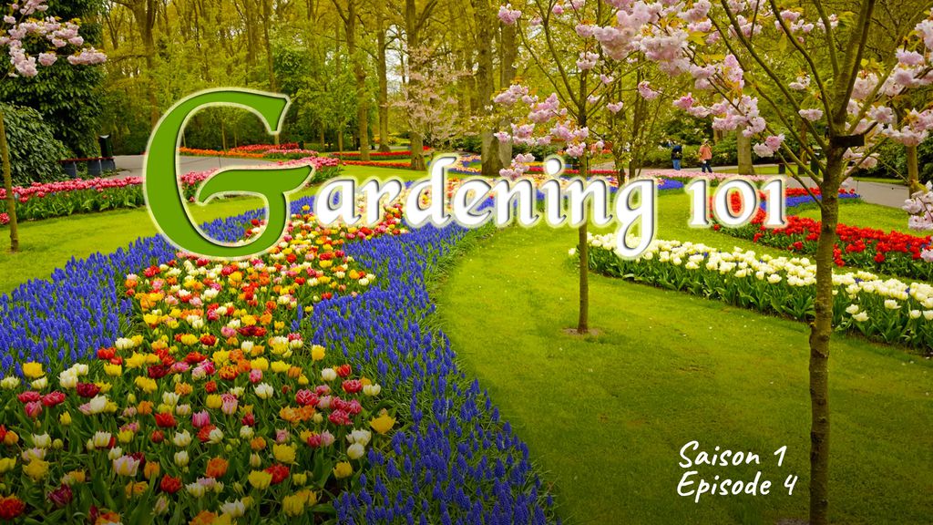 Gardening 101 - S1E4