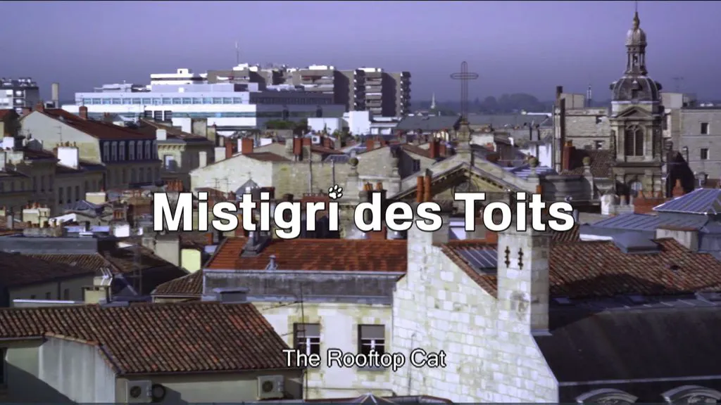 Mistigri