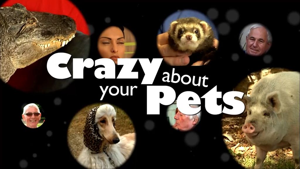 Crazy About Your Pets