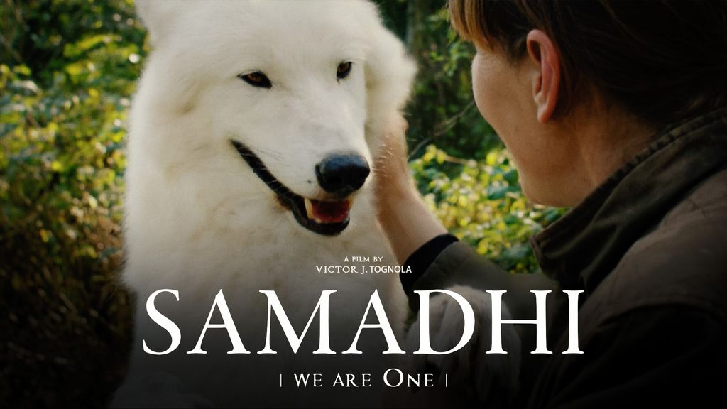 Samadhi - We are the One