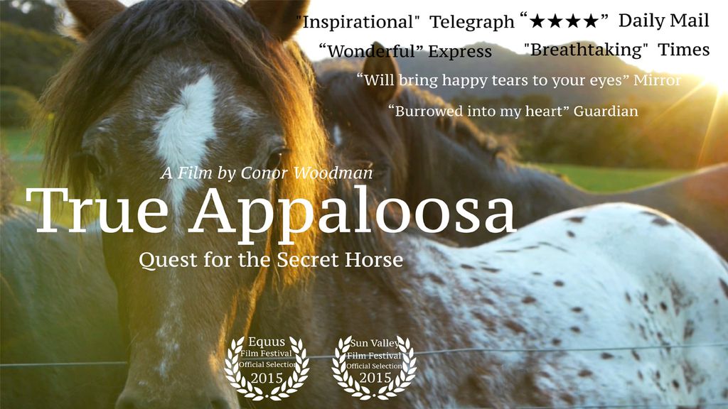 True Appaloosa