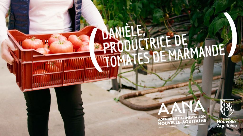 Danièle, productrice de Tomates de Marmande