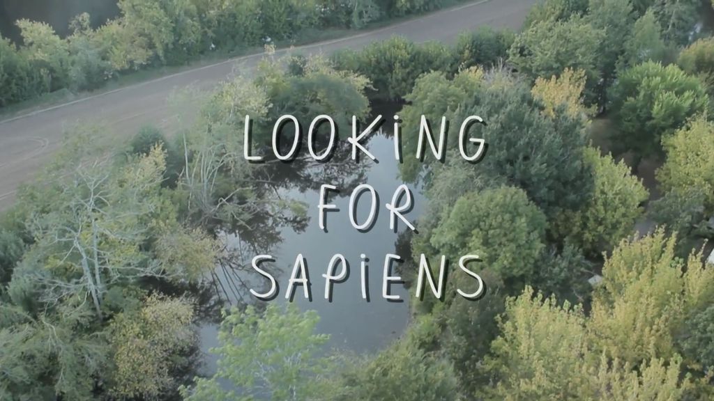Looking for Sapiens