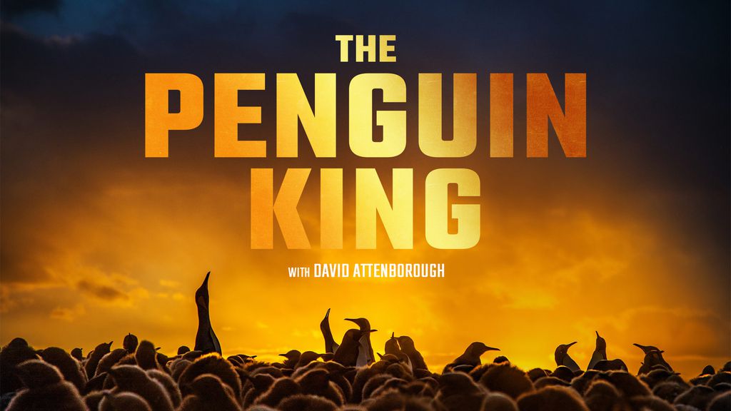 El Pingüino Rey con David Attenborough